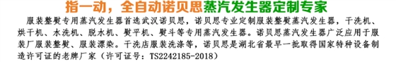 諾貝思蒸汽發生器
