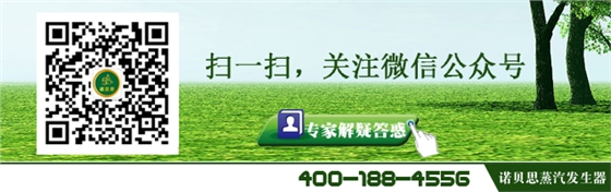防爆清洗專用蒸汽發(fā)生器