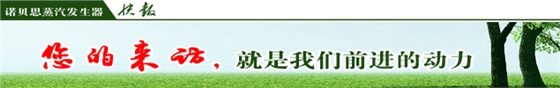 高溫蒸汽發生器
