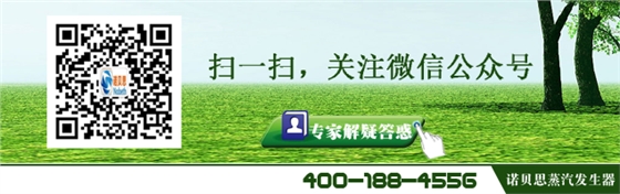 高溫蒸汽發生器