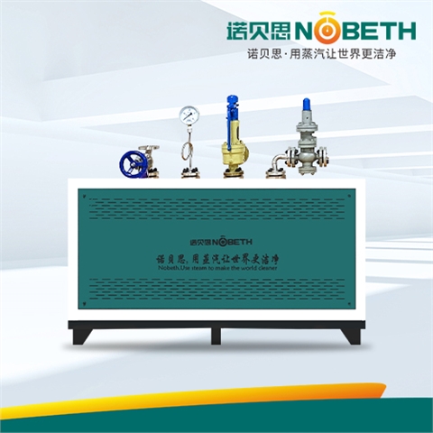 可定制300℃高溫過熱蒸汽發生器