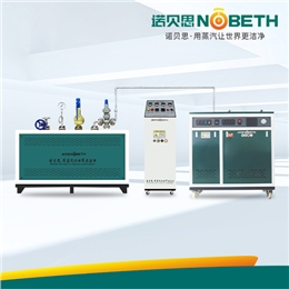 可定制300℃高溫過熱蒸汽發生器