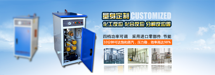 50-75kg/h化工反應小型蒸汽發生器