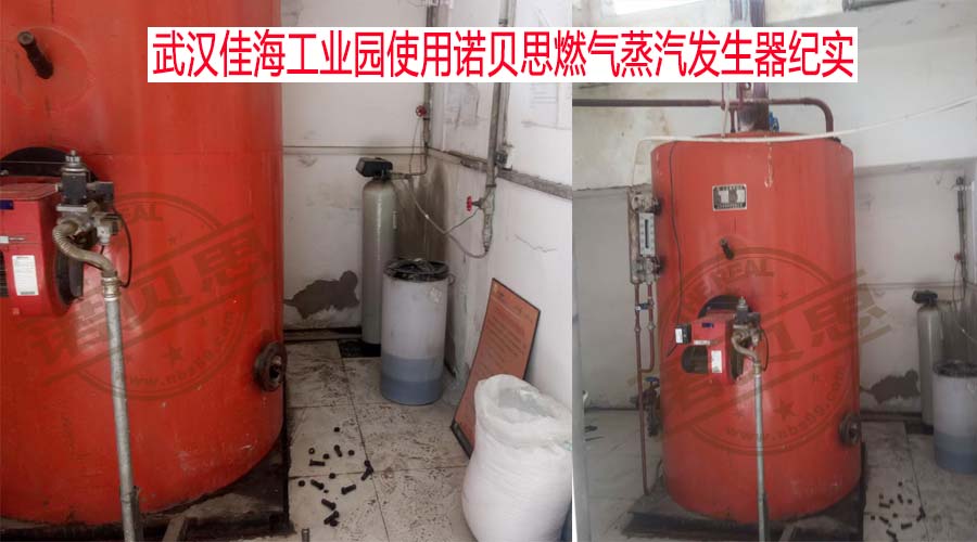 燃氣蒸汽發生器運行