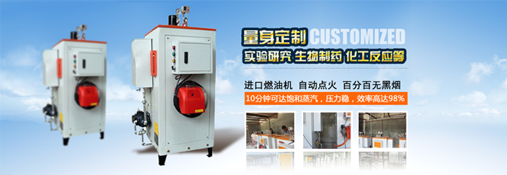 全自動燃油蒸汽發生器（鍋爐）