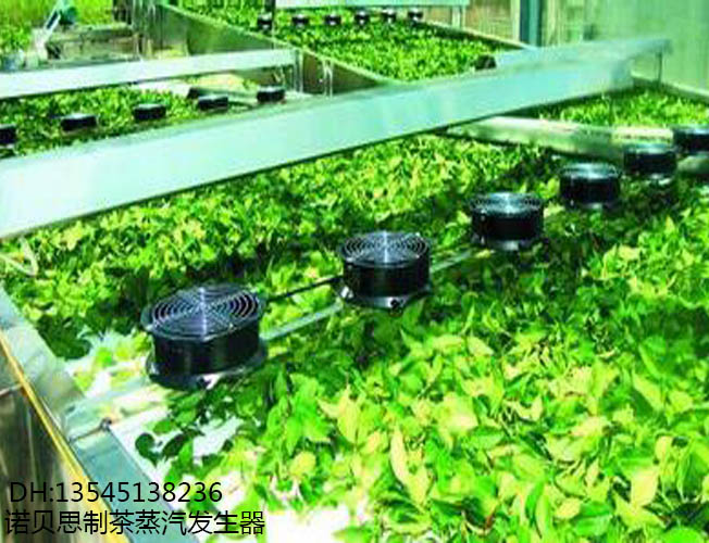 河南蒸汽發生器制茶