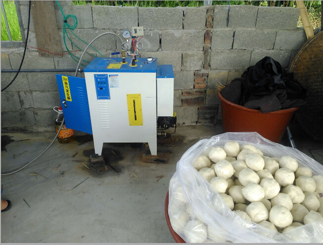 免檢生物質蒸汽發生器用于食品加工