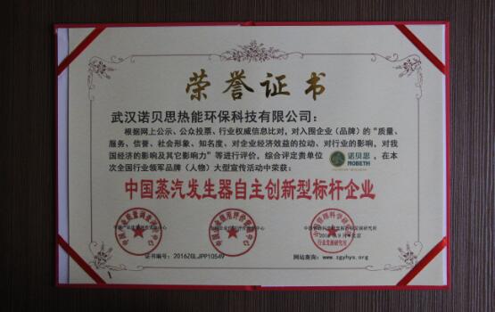 中國蒸汽發生器自主創新型標桿企業