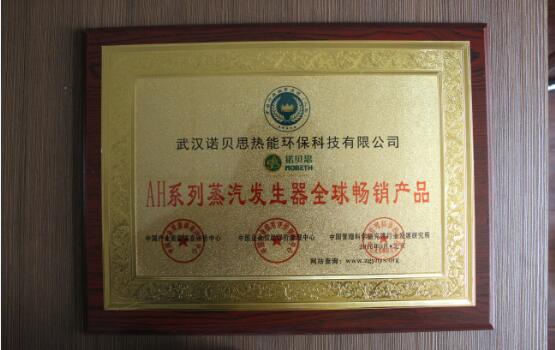 AH系列蒸汽發生器全球暢銷產品