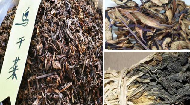 蔬菜烘干用電加熱蒸汽發生器