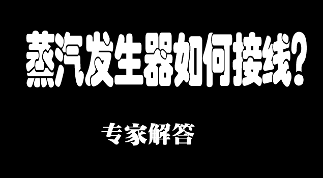 電加熱蒸汽發生器