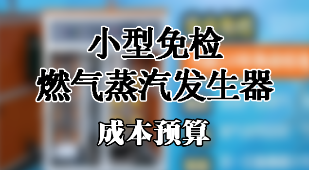小型免檢燃氣蒸汽發生器