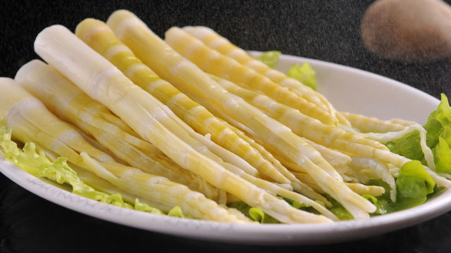 燃氣蒸汽發生器
