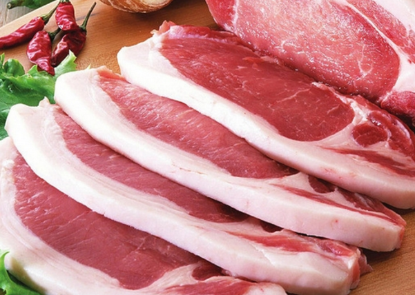 豬肉制品脫毛用諾貝思蒸汽發生器
