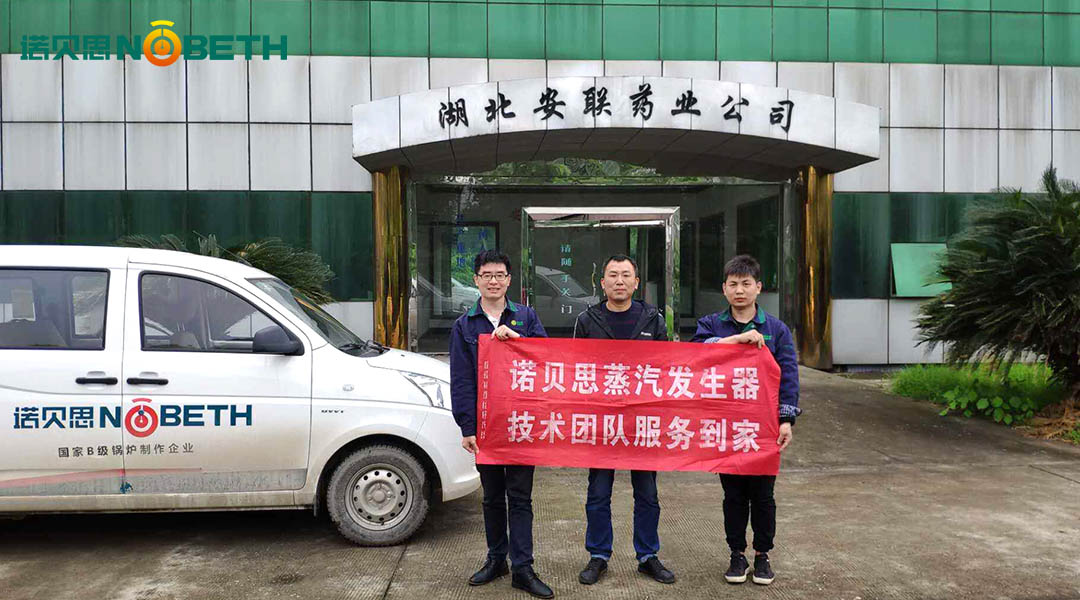 河北生物制藥電蒸汽發生器