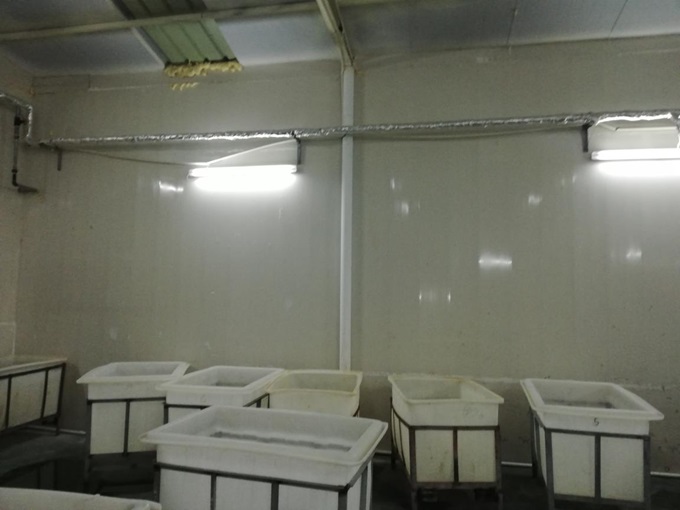 蒸汽發生器用于加工廠.jpg