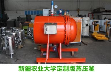 諾貝思蒸汽專家完成新疆農業大學定制蒸壓釜