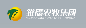 【河南】諾貝思雙管電加熱蒸汽發生器助力雛鷹農牧提高包裝產能