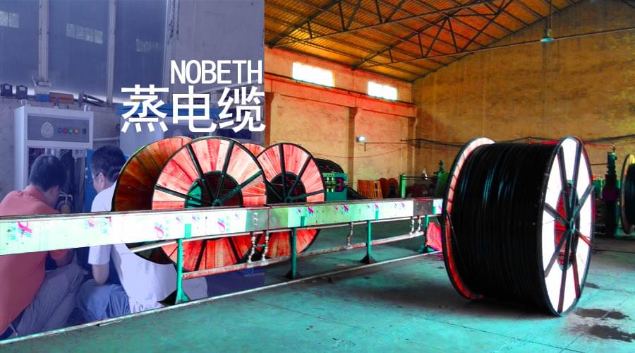 河南佳能采用電加熱蒸汽發生器蒸電纜工藝