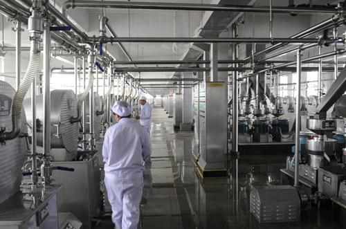 生物質蒸汽發生器用于食品加工廠現場案例