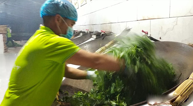 電氣化制茶成主流，蒸汽發生器讓制茶無煙化，實現零排放的環保目標